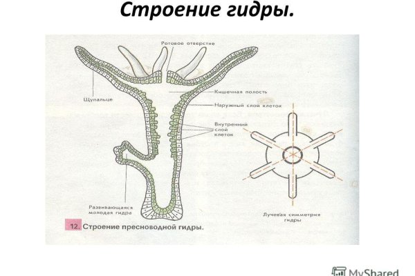 Кракен сайт юнион