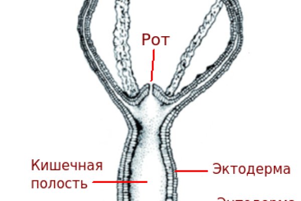 Кракен сайт официальный kraken clear com